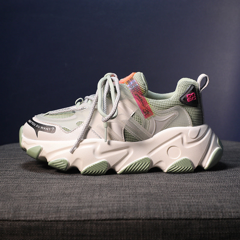Jagdelemente, alte Schuhe, Damenschuhe