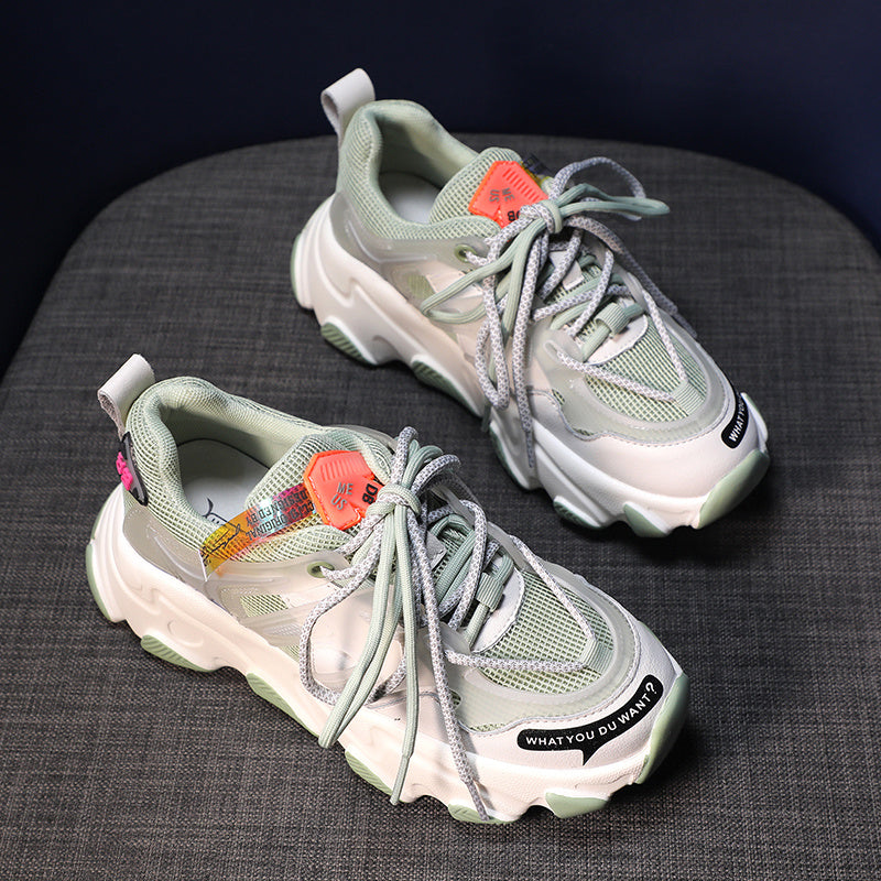 Jagdelemente, alte Schuhe, Damenschuhe