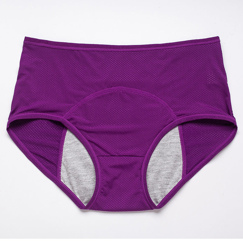 Perioden-Auslaufschutz-Höschen Damen-Unterwäsche-Hosen Nylon-Slips