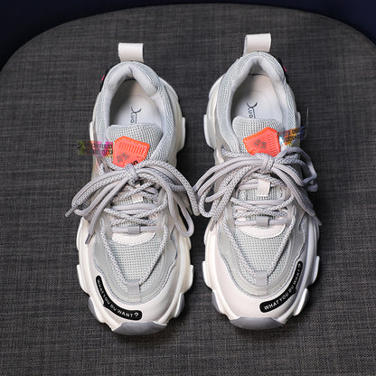 Jagdelemente, alte Schuhe, Damenschuhe
