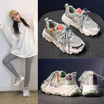 Jagdelemente, alte Schuhe, Damenschuhe