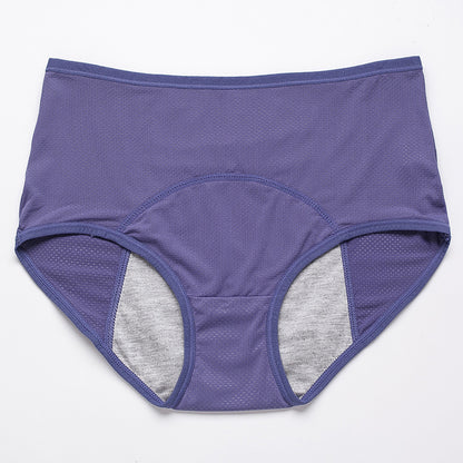 Perioden-Auslaufschutz-Höschen Damen-Unterwäsche-Hosen Nylon-Slips