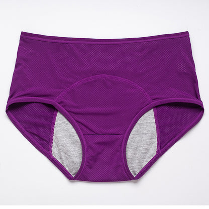 Perioden-Auslaufschutz-Höschen Damen-Unterwäsche-Hosen Nylon-Slips